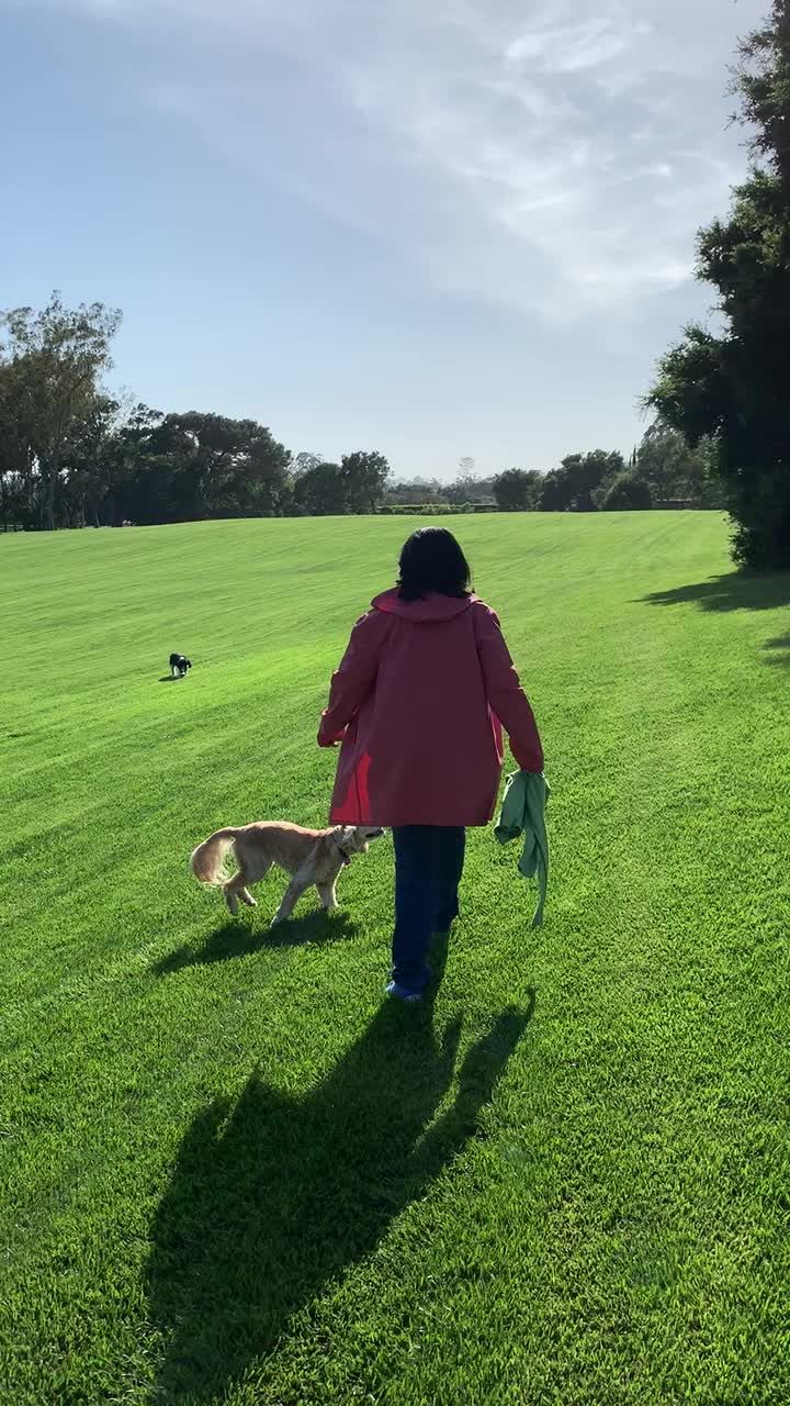 preview for Oprah Walks Her Dogs