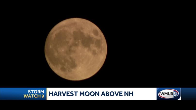 What is the harvest moon, how to watch it? All to know about the