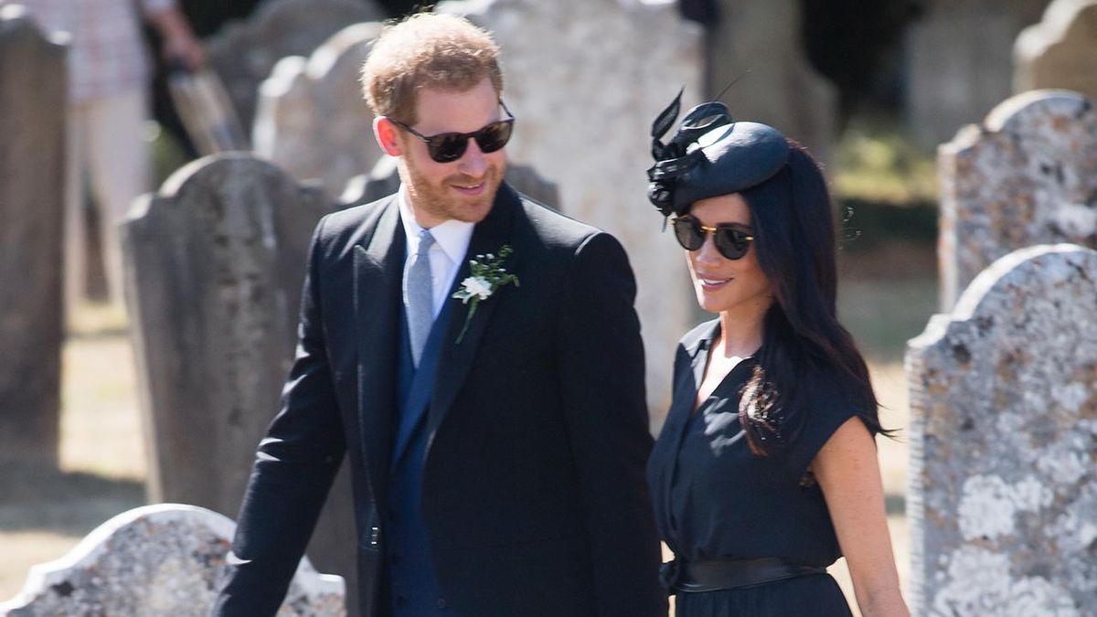 preview for Meghan Markle and Prince Harry Just Took the Next Step by Getting a New Dog
