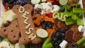 Anatomy Of A Perfect Barkuterie Board