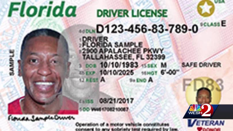 Floridians struggle with long delays to renew driver licenses