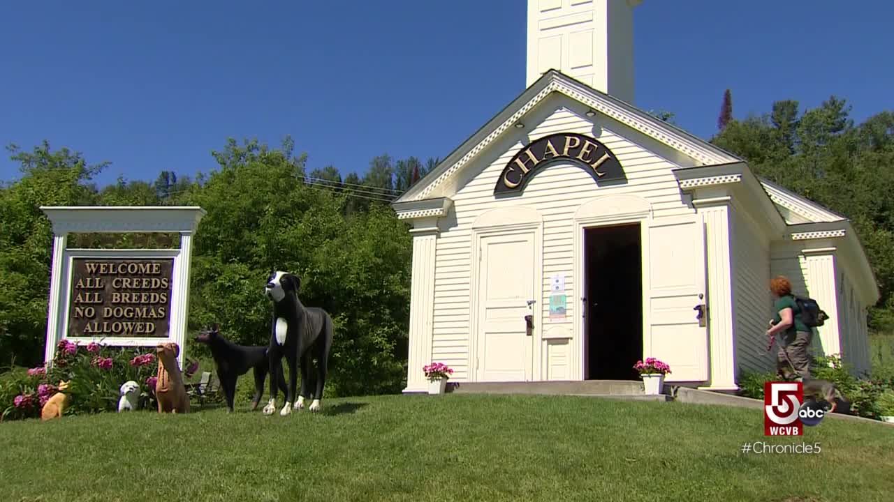 St johnsbury best sale dog chapel