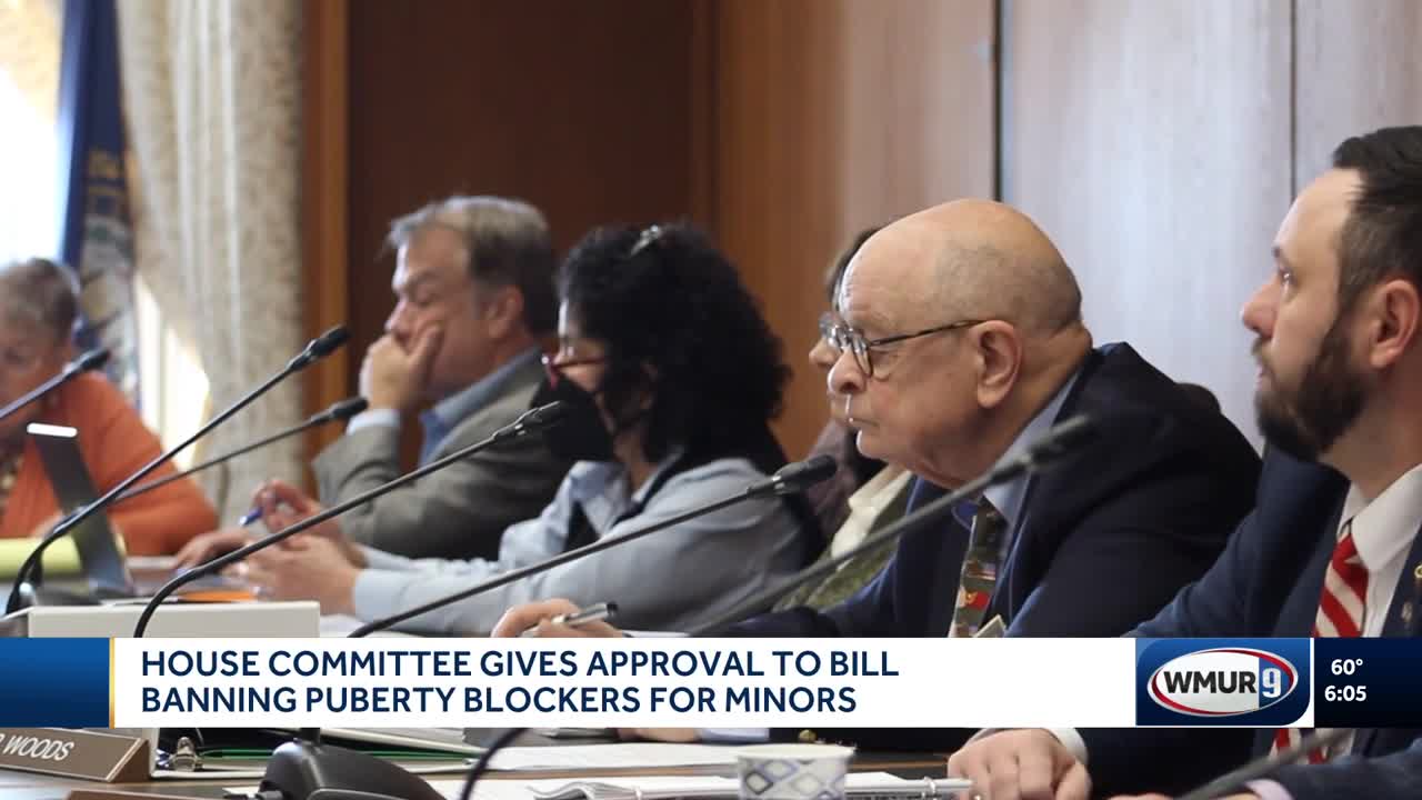 NH House committee gives approval to bill banning puberty blockers for transgender children