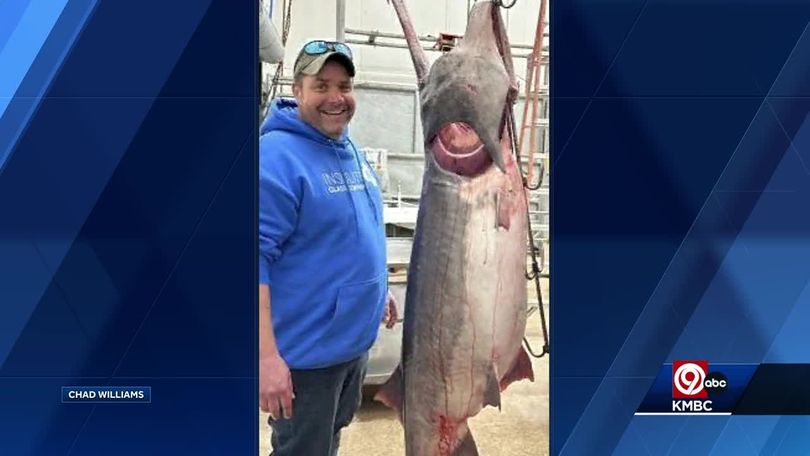 Olathe, Kansas, man 'snagged' world record paddlefish at Lake of the Ozarks