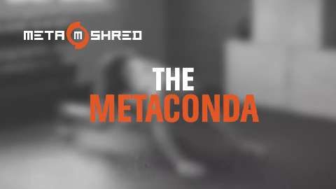 preview for Metaconda