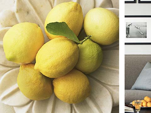 preview for 3 Tips for Styling Your Coffee Table