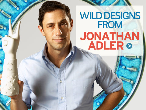 preview for Wild Designs from Jonathan Adler