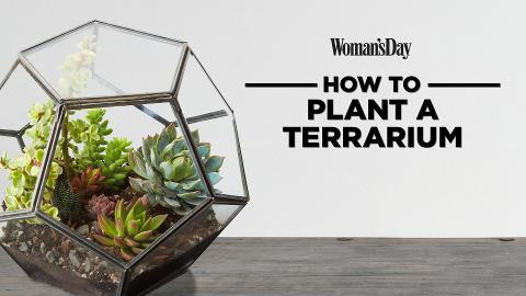 preview for How To Plant A Terrarium