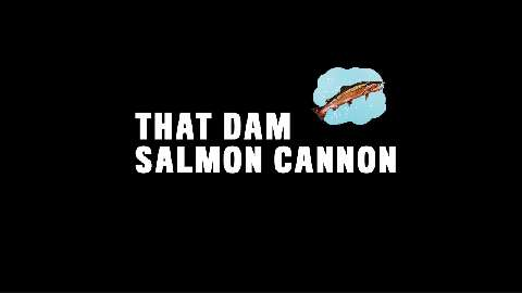 preview for That Dam Salmon Cannon