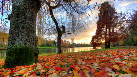 preview for The 21 Most Quintessential Fall Activities