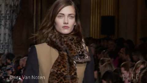 preview for Dries Van Noten: Fall 2010 RTW