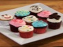 preview for Cupcake Decorating Tips
