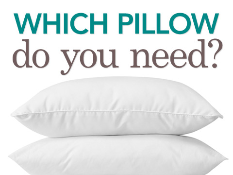preview for Which Pillow Do You Need?