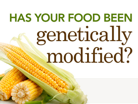 preview for Has Your Food Been Genetically Modified?