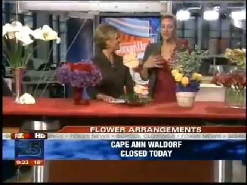 preview for WD on TV : Flower Arranging Summer Sanders