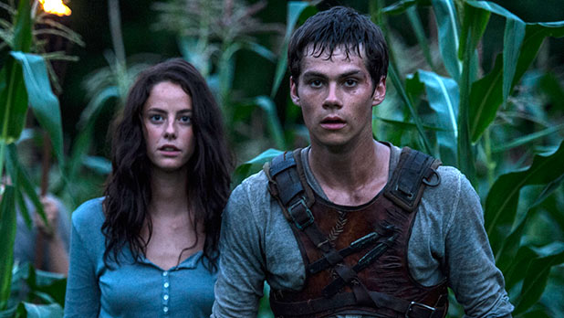 PICS] 'The Maze Runner' — Dylan O'Brien's New Movie – Hollywood Life