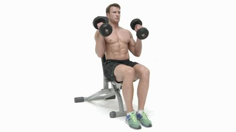 preview for seated hammer curl