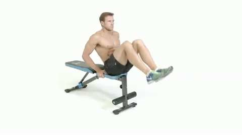 Seated Bench Leg Pull-Ins / Flat Bench Knee-ups – WorkoutLabs