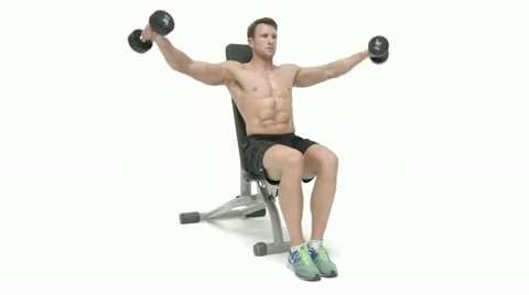 preview for seated lateral raise