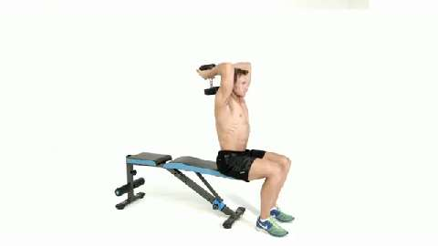 preview for seated dumbbell tricep extension