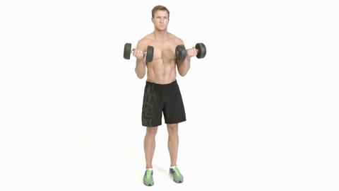 Biceps Exercise Chart For Men