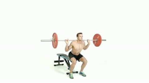 preview for barbell box squat