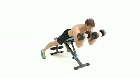 preview for prone dumbbell spider curl