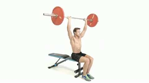 preview for seated barbell shoulder press