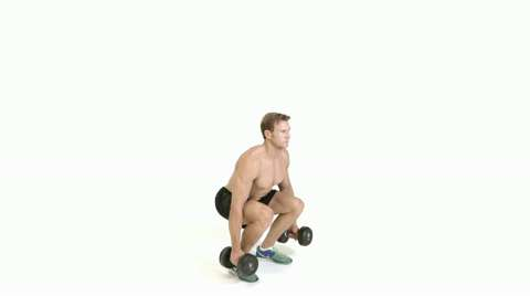preview for Dumbbell squat