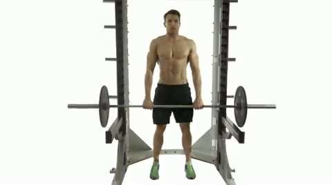 preview for Barbell rack pulls