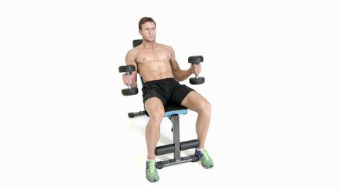 Curls seated db hammer Are seated