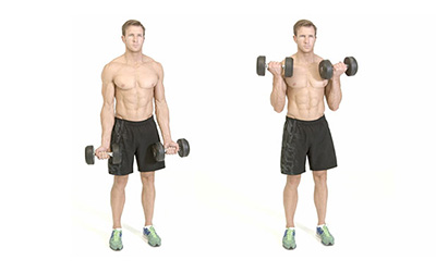 How to do a dumbbell bicep curl