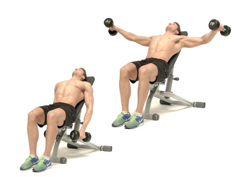 preview for Incline Seated Lateral Raise