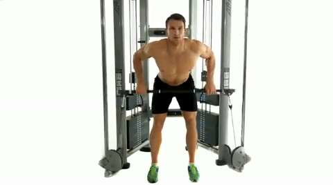 preview for Cable bent over row