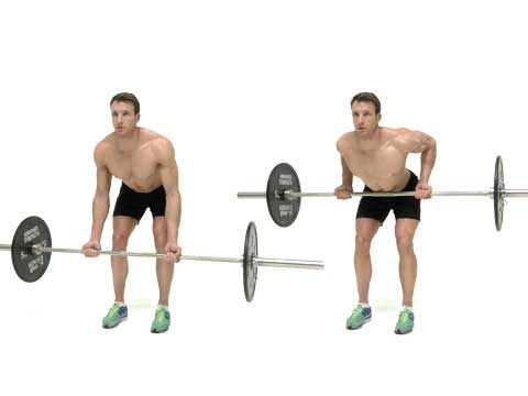 preview for Barbell Bent Over Row (Underhand Grip)