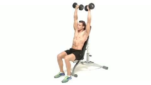 preview for Seated shoulder press