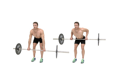 preview for Barbell Bent Over Row