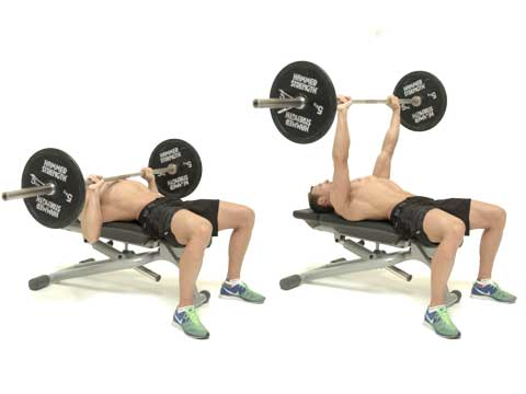 preview for Barbell Bench Press