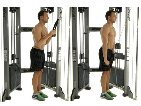 preview for Triceps Cable Rope Pushdown