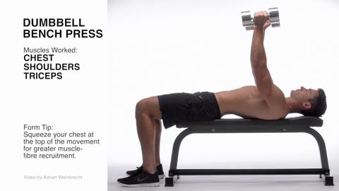 preview for Dumbbell bench press