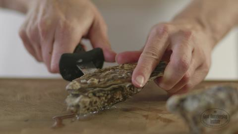 preview for How to shuck an oyster