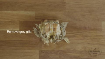 Wood, Brown, Hardwood, Wood stain, Flooring, Floor, Khaki, Wood flooring, Tan, Beige, 