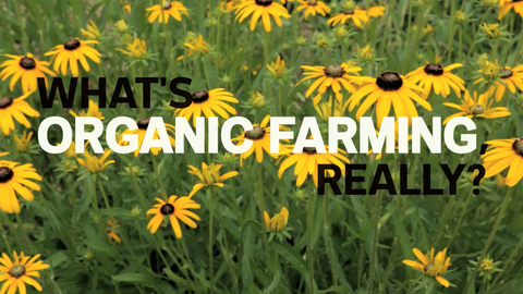 preview for What's Organic Farming, Really?