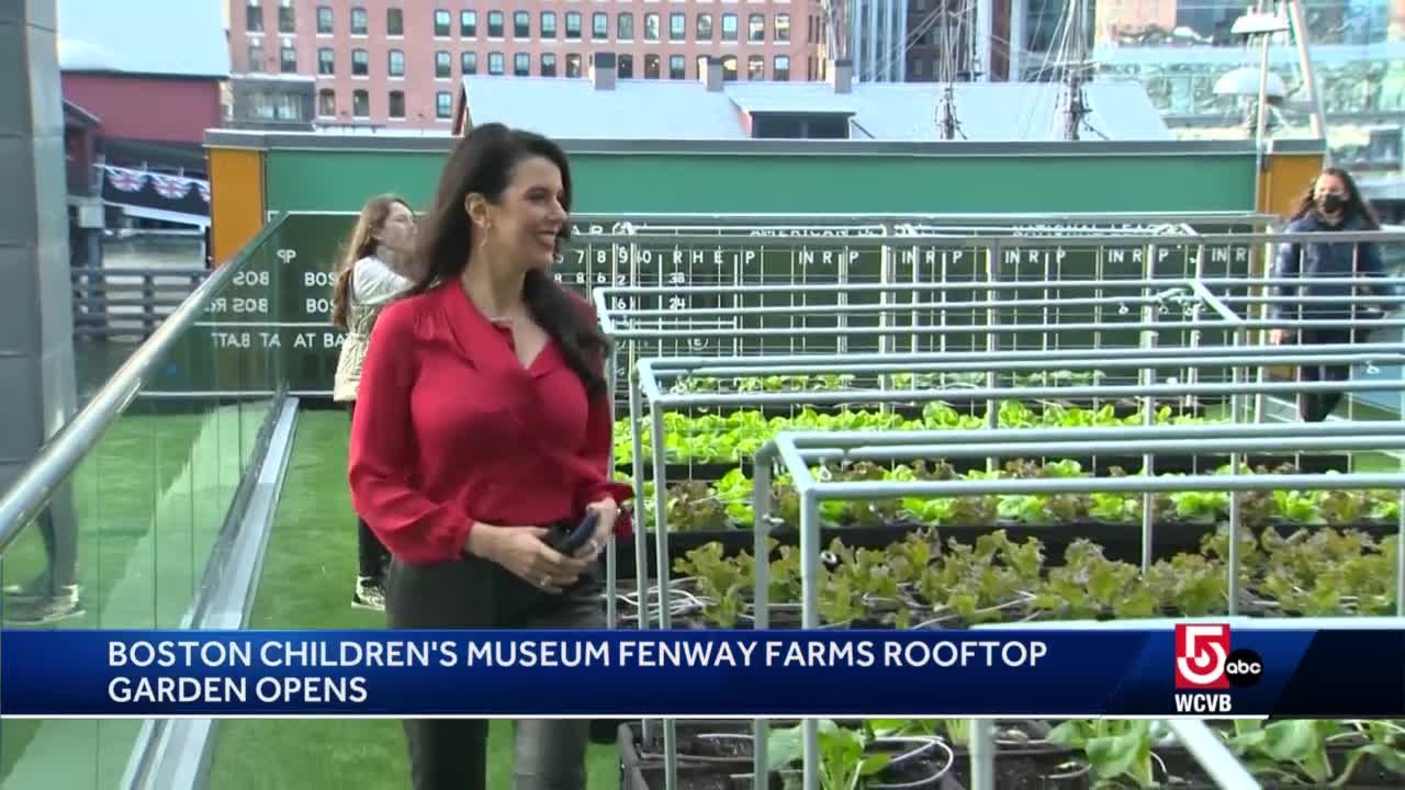 Boston Children's Museum garden to open this weekend