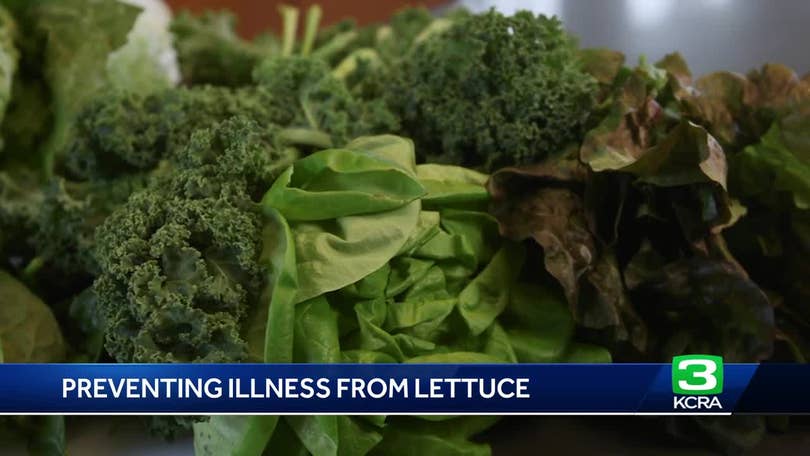 9 Tips to Avoid Illness From Salad Greens