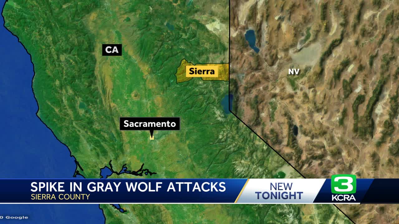 KCRA News - cover
