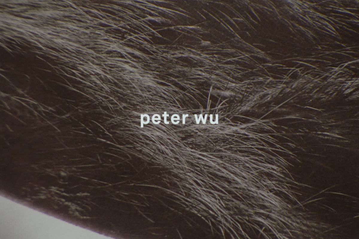 preview for 陳柏霖 x peter wu 2024春夏形象廣告
