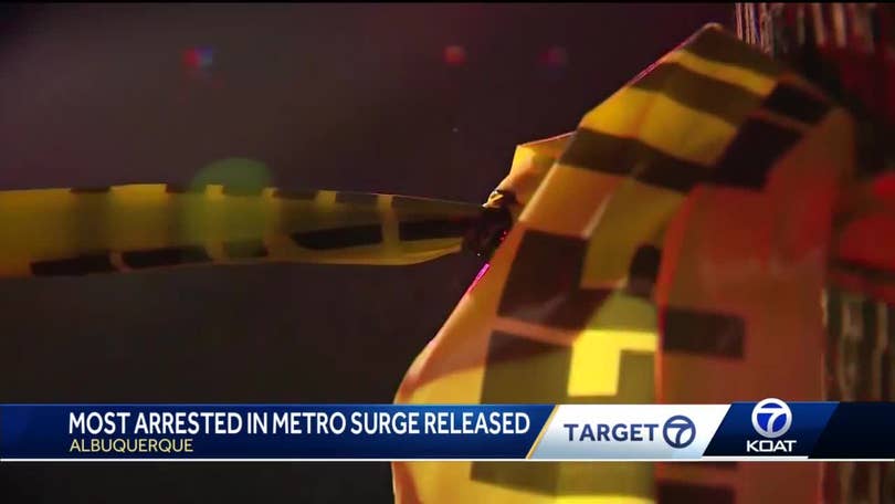What Happened To The Suspects State Police Arrested During Surge What Happened To The Suspects State Police Arrested During Surge