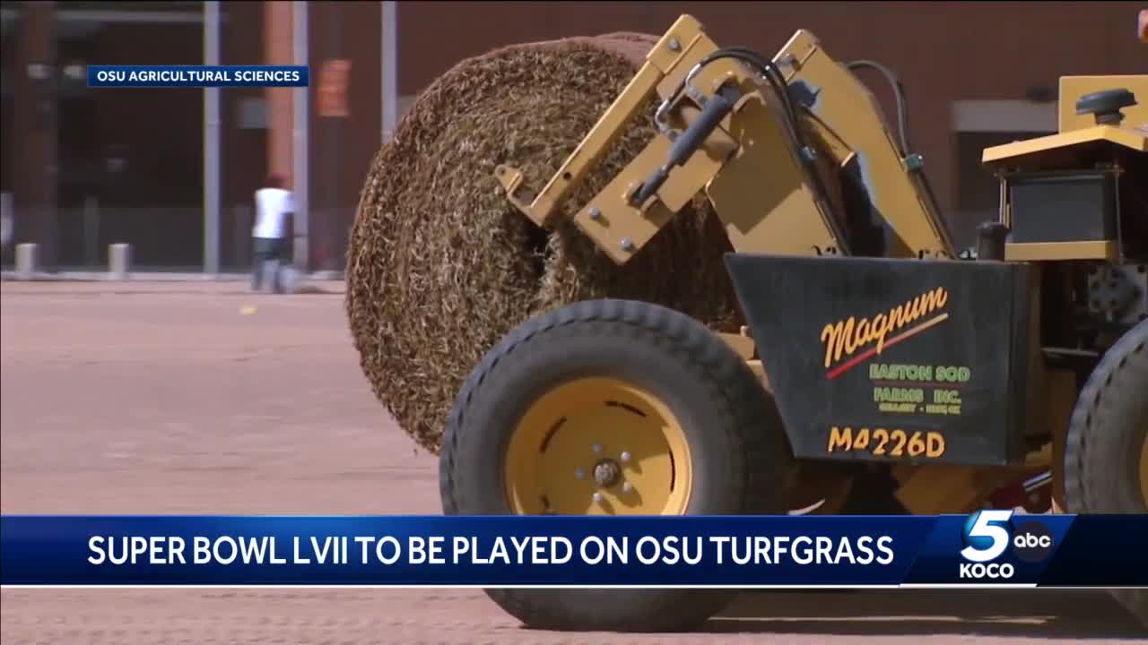 OSU-developed grass to be used in AFC and NFC championships