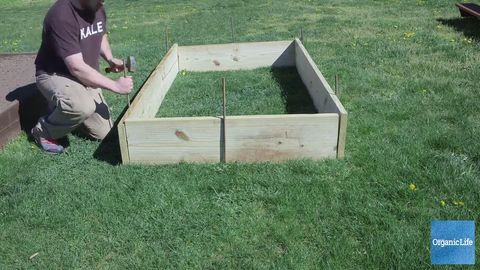 How To Build A Raised Garden Bed Diy Instructions - What Kind Of Wood To Build Garden Box